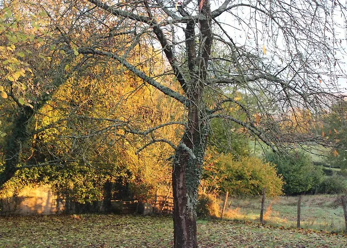 Couette-café Le Clos Dormont 3*